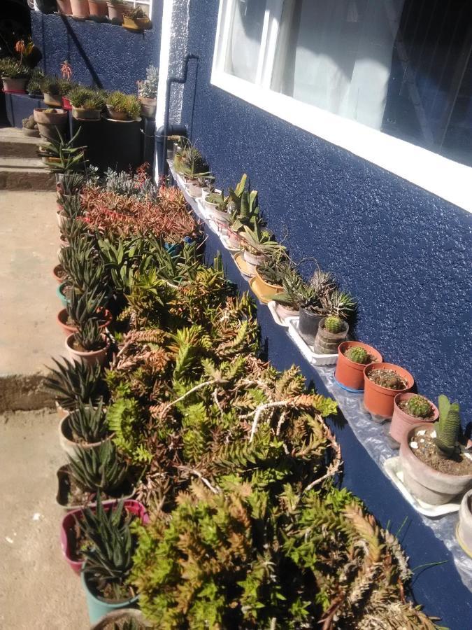 Havilah House Baguio City Eksteriør bilde